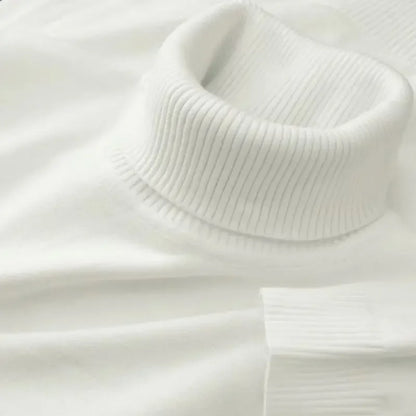 Men’s Knitted Turtleneck Sweater – Solid Color Casual Pullover